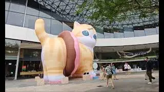 Mofusand's Christmas theme, at Plaza  Singapura #sglife #singapore #mofusand #christmas 
