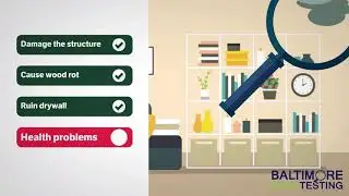 Baltimore Mold Testing