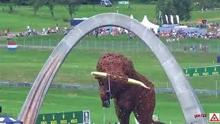 Jetpack-Pilot* David Mayman* at Formel 1 Grand Prix Red Bull Ring 2018