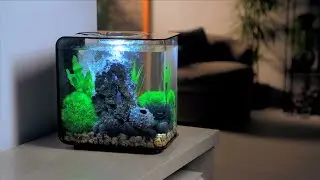 Designov&aacute; biOrb akv&aacute;ria