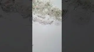 Tardigrades hatching