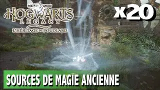 O&Ugrave; TROUVER TOUTES LES SOURCES DE MAGIE ANCIENNE x20 - HOGWARTS LEGACY L'H&Eacute;RITAGE DE POUDLARD
