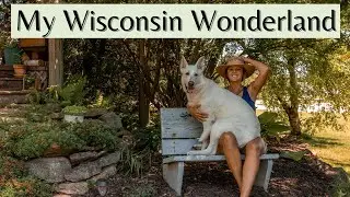 Моя Висконсинская страна чудес | VAN LIFE & HOME