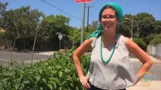 Community Healing Gardens - The Stages of a Plant's Life