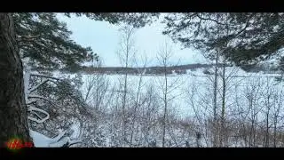 Западная Двина в белом саване... (13.01.2026)