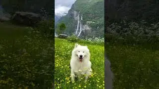 The most epic ear wiggle spot ever 😍