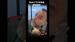 Rat Poop CSI