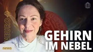 NEURONEWS #3: Brain Fog &ndash; wie BRAIN FOG 🧠 Gehirnnebel entsteht. Symptome, Ursachen & Heilung
