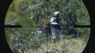 MSIS KILL PARA ALEGRIA DA GALERA