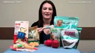 Dental Toys & Treats for Pets