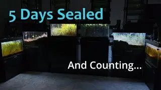 Five Days Inside a Sealed Ecosystem
