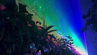 Kyoto botanical gardens lightup event 