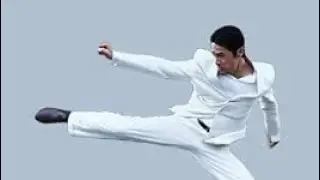 Johnny Tri Nguyen vs David Minetti