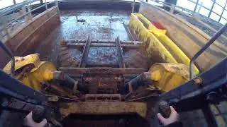 scraping manure in the barn