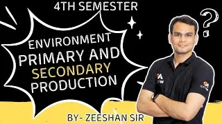 Difference Between Primary & Secondary Production - Ecosystem |