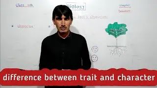 difference between trait and character.