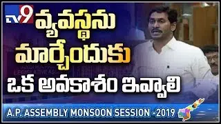 Assembly passes resolution seeking Special Status for AP - TV9