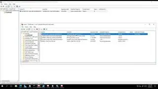 How can I use my own certificate with the NPS Extension?