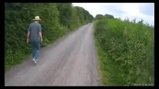 DayCycle - The Strawberry Line