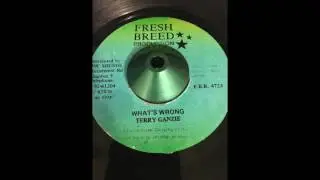 Terry Ganzie - What's Wrong