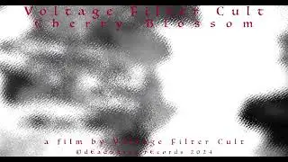 Voltage Filter Cult - Cherry Blossom #classicalmusic #violinmusic #pianomusic #piano