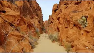 Fire Canyon | Valley of Fire State Park, Nevada