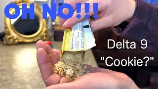 D9 HI Chocolate Chip Blondie Bar 300mg THC Delta 8 Honest Review!