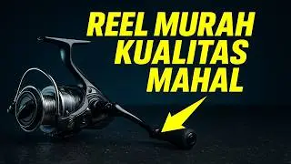 5 Rekomendasi REEL PANCING LAUT Murah dan Berkualitas | Cocok untuk Pemula | Aquazone