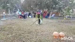 #Matka phod kel#Alipur duar#Chilapata jungal resort#Mini vlog.