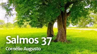 B&iacute;blia Falada | Salmos 37