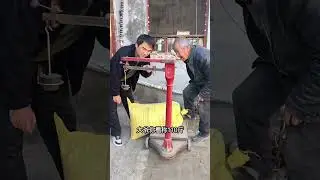 New Funny and Fail Videos 2026 😂 😺😍#funny #funnyshorts #hilarious