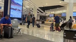 El gavilan  is live! Ba para Oregon 08-30-2025