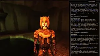 Open Morrowind - Main Quest - Vivec Informants