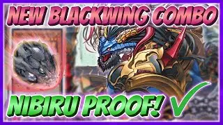 *NEW* BLACKWINGS FINALLY HAVE AN OMNI NEGATE - NIBIRU PROOF COMBOS
