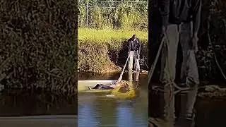 Heroic Man Saves Drowning Woman!