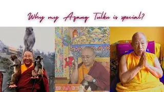 Let's find out  about the previous life of my azang Tulku and learn something  about Reincarnation.