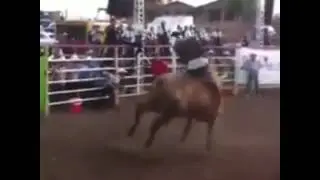El Carousel vs El Picudo de Jalisco - Terra Bella 2016