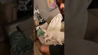 Funny Dog Reaction OG getting thick TikTok 🐶 😂😂 #shorts