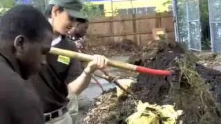 Green Hook - a video by GCF Corps Member Stephene Brathwaite