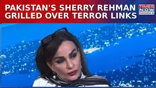 Pakistan Embarrassed On Global Stage As Pak Leader Grilled Over 'Terror Confession'&nbsp;|&nbsp;Watch&nbsp;Video