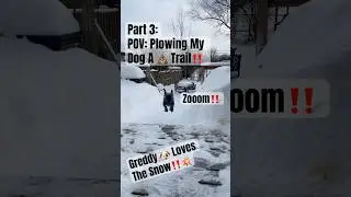 PT3: Clearing My Dog A Path‼️ #br450 #stihl #snowday #dogpark #pathway #nature #shorts #subscribe