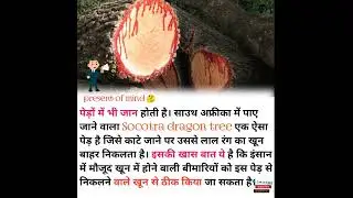 amazing facts about india in hindi #facts #genralstudies #upsc #interview #youtubeshorts #shortvideo