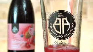 BIRRIFICIO AMERINO  -  Sour Fruit Ale -EXPERIENCE-