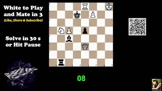 Computer-Generated Chess Problem 04163