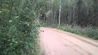 SNC00034.mp4