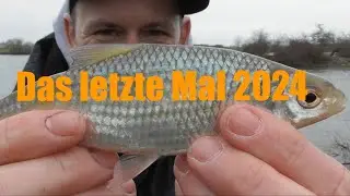 Das letzte Mal 2024 / Feedern am Fluss