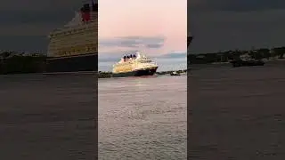 When Real Life Feels Like a Disney Movie&hellip; ✨🚢 #cruiseship #disneyship #cruise #disneycruise #shorts