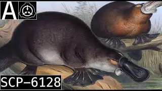 SCP-6128 