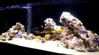 VIDEO0136