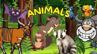Animals for Kids | 20 Animals That Start with B | Learn Animal Names for Kids | Educational Video